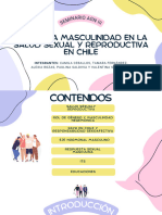 Seminario AGN III - Rol de La Masculinidad en La SSYR en Chile