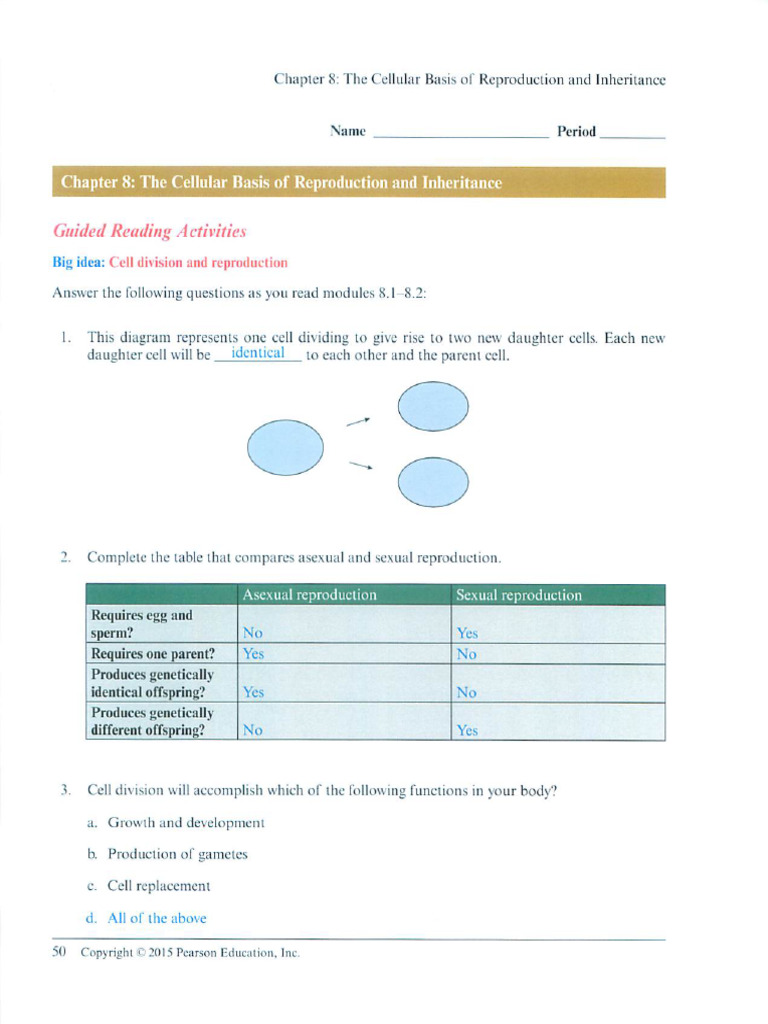 Chapter 8 Guidedreading Pdf