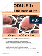 M1-Cell As Basis of Life