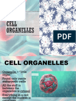 1.1.2 B) - Cells and Their Organelles and Functions