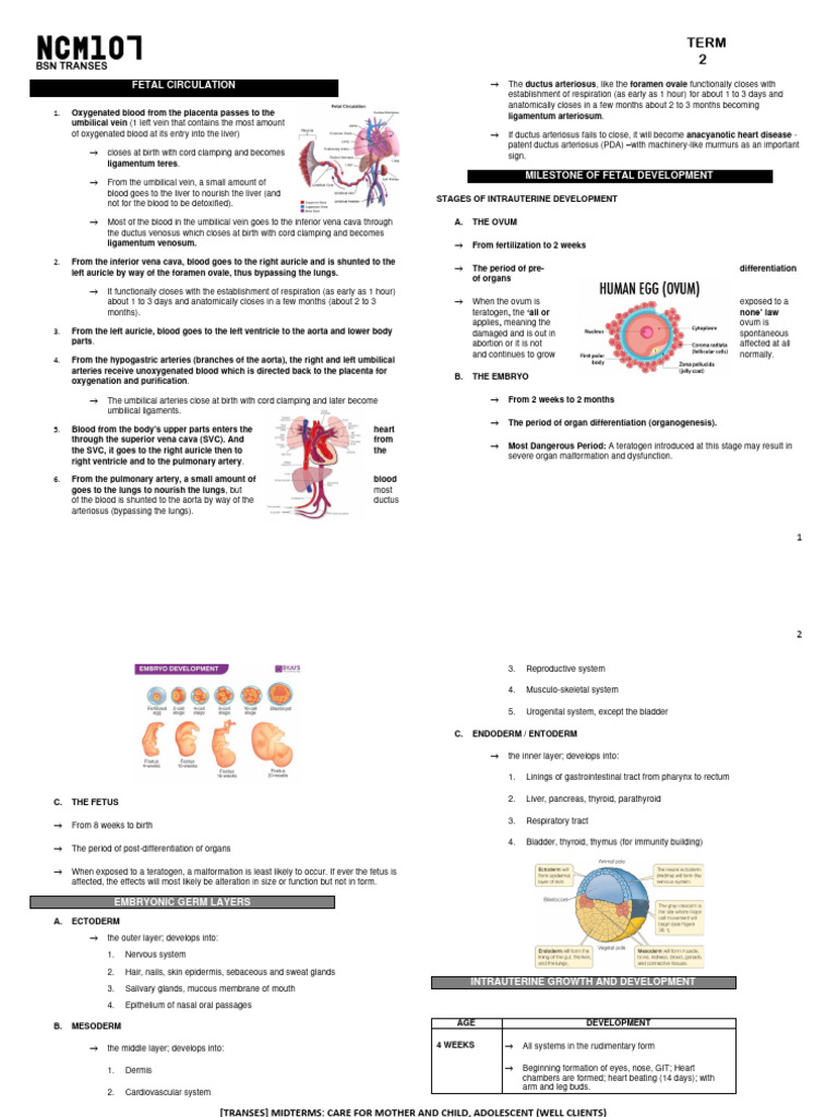 Class Notes - Term 2 - MCN Lec | PDF | Fetus | Placenta