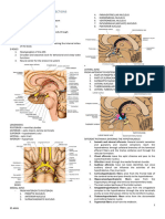 Hypothalamus and Its Connections