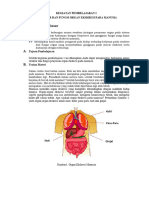 Bahan Ajar Sistem Ekskresi Biologi Xi