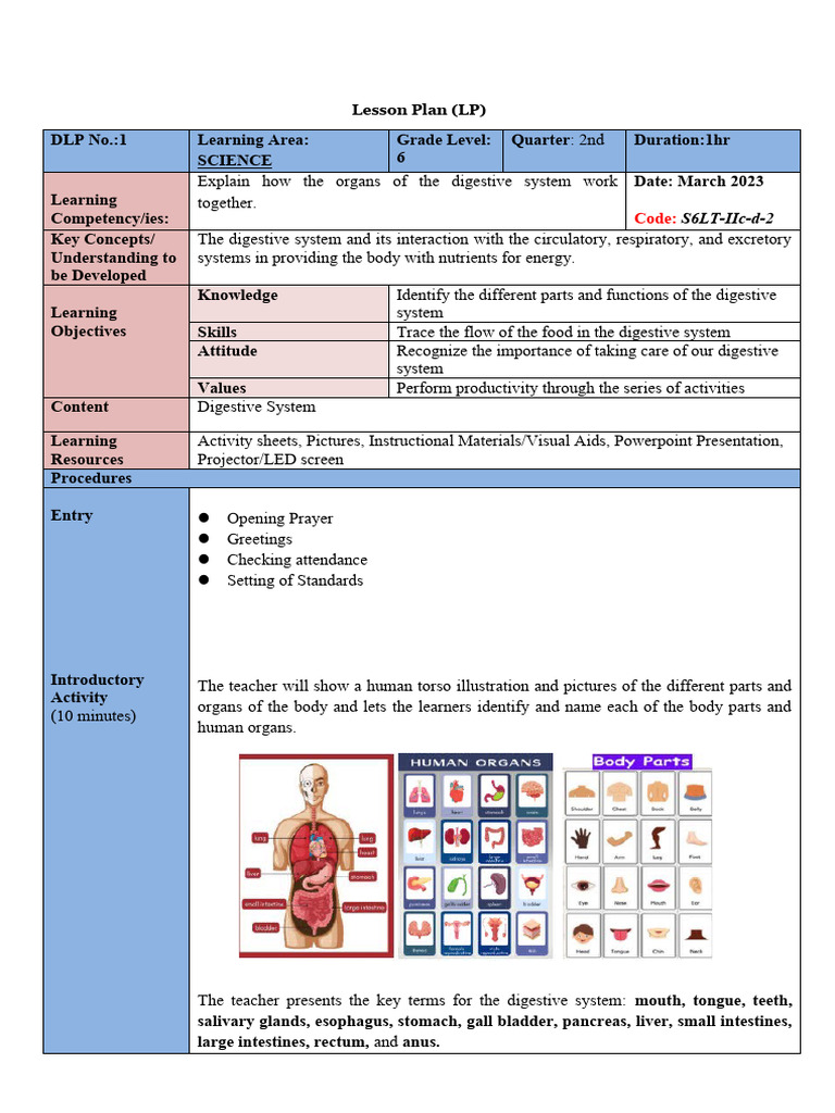 Grade 6 Digestive System Lesson Plan | PDF | Human Digestive System ...