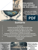 Poluição Das Águas de Rio Largo