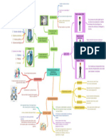 Mapa Mental #1