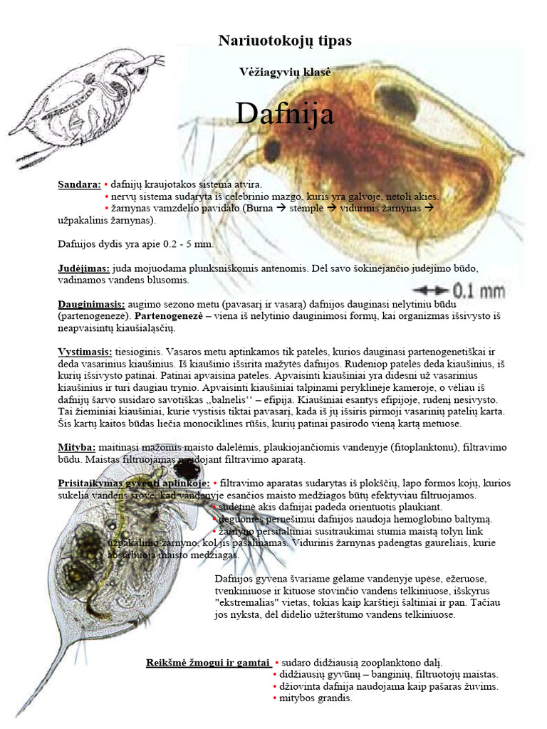 DAFNIJA | PDF