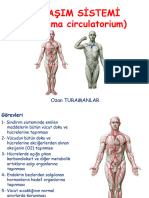 8) Dolaşim Si̇stemi̇