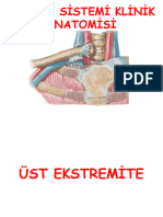 Klinik Anatomi