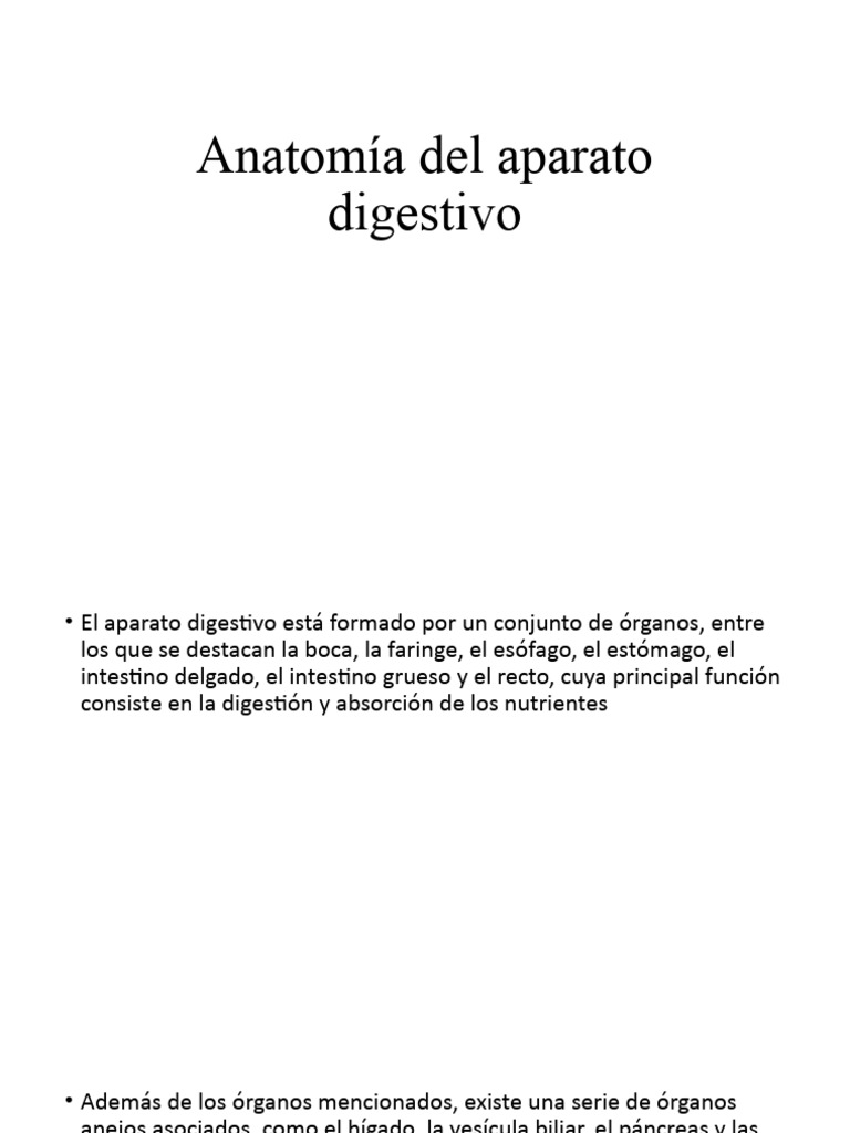 Anatomía Del Aparato Digestivo Pdf Estómago Sistema Digestivo Humano