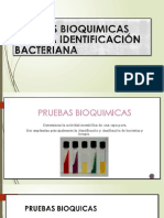 Pruebas Bioquimicas