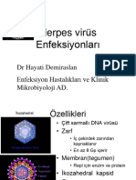 Herpesvirus Enfeksiyonları - Eylül 2016