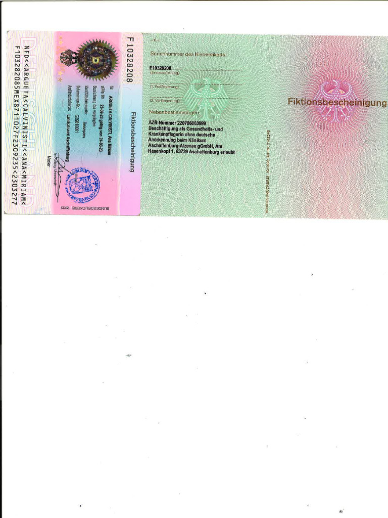 fiktionsbescheinigung § 81 abs. 3