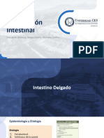 Obstrucción Intestinal PDF