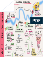 Aula3 Organizacao Financeira