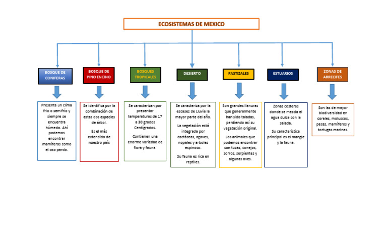 Mapa conceptual de ecosistemas en México | PDF | Hogar, jardinería y ...