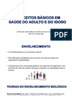 Slide - Conceitos Básicos em Saúde Do Adulto e Do Idoso