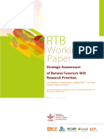 RTB-Working-Paper- Strategic Assessment  of Banana Fusarium Wilt Research Priorities