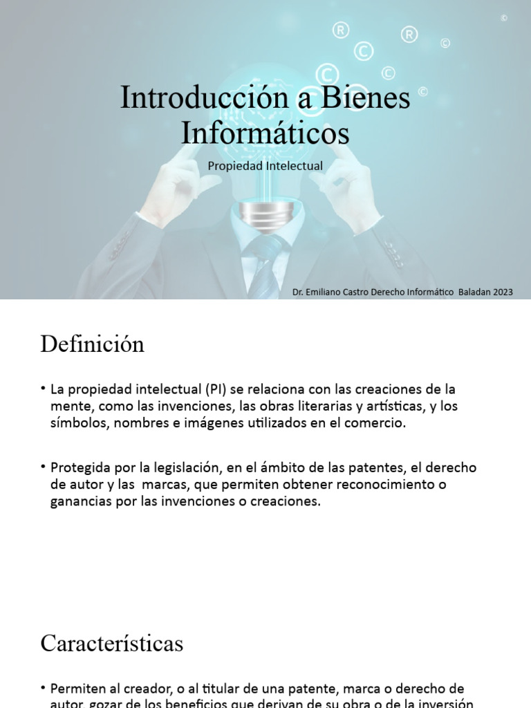 Propiedad Intelectual y Bienes Informáticos | PDF