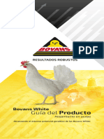 Guía Estirpe Gallina Bovans