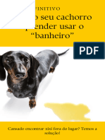 O Guia Definitivo para Seu Cachoro Aprende A Usar o Banheiro