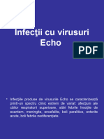 Infectii Cu Virusuri Echo