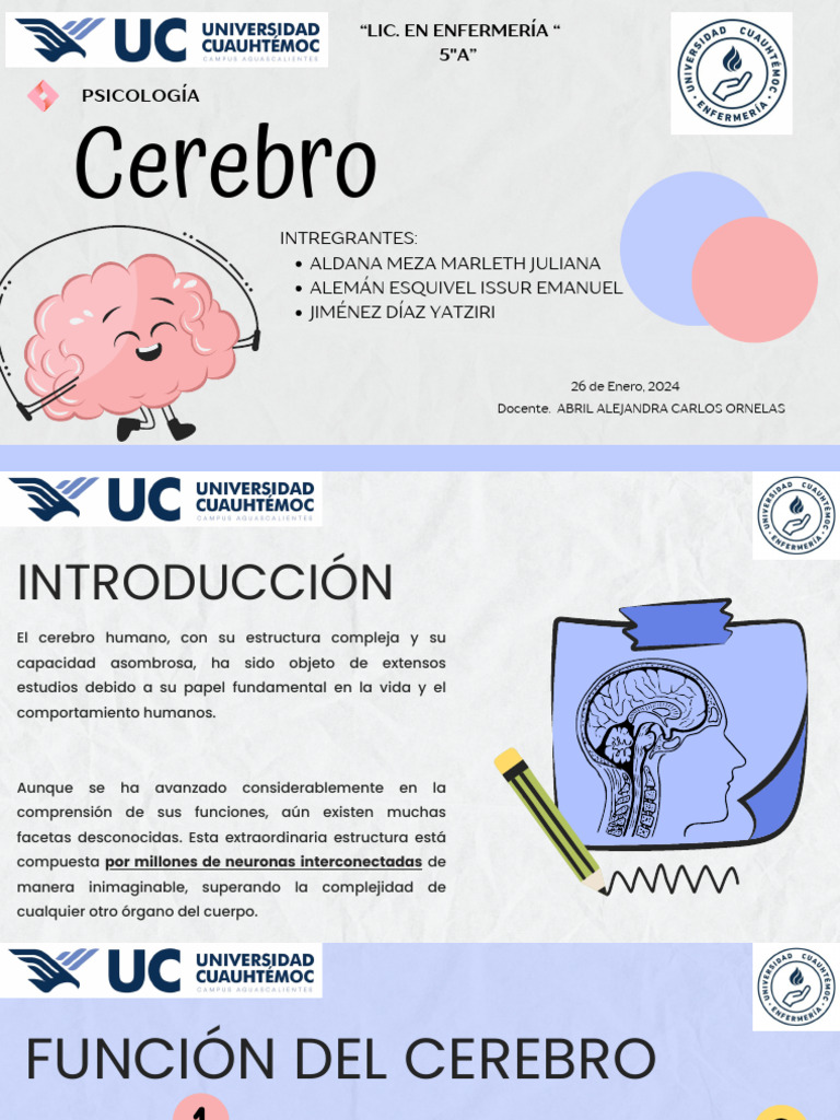 Colorful Bold Science Brain Presentation & Quiz | PDF