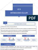 Ud 3 Metabolismo Celular