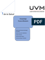 AFisipatologia Procesosinflamatorios2 REMH