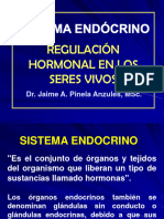 Morfo II - 6. Sistema Endocrino