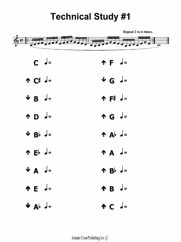 Assortment of Various Scales for the Technical Study of