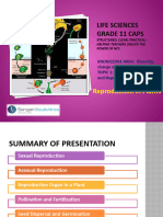 PP10 Reproduction in Plants-1