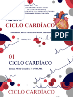 Práctica 3 - CICLO CARDÍACO 2023