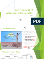 2 Uptake and Transport of Water and Mineral Salts