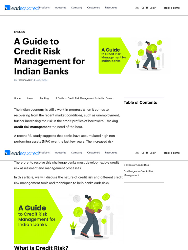 Credit Risk Management for Indian Banks | PDF | Financial Risk ...