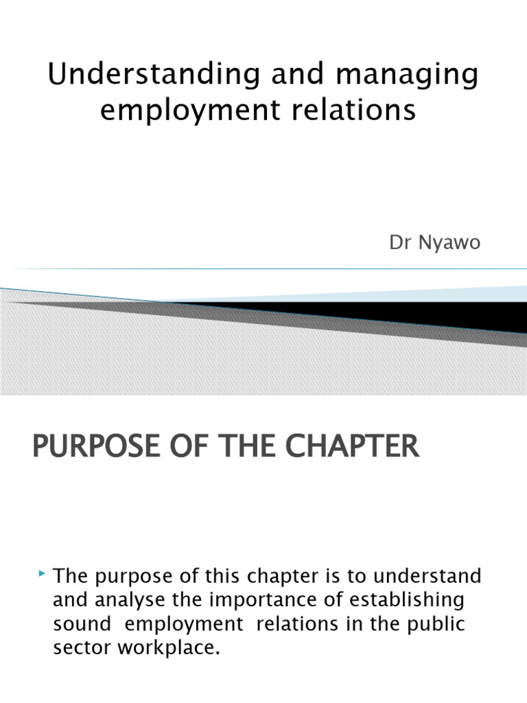 Managing Public Sector Employee Relations | PDF
