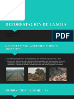 Deforestacion de La Soja