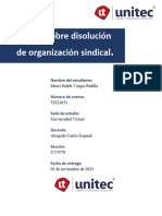 Vargas. M Tarea 4.1 Ensayo Sobre Disolución de Organización Sindical