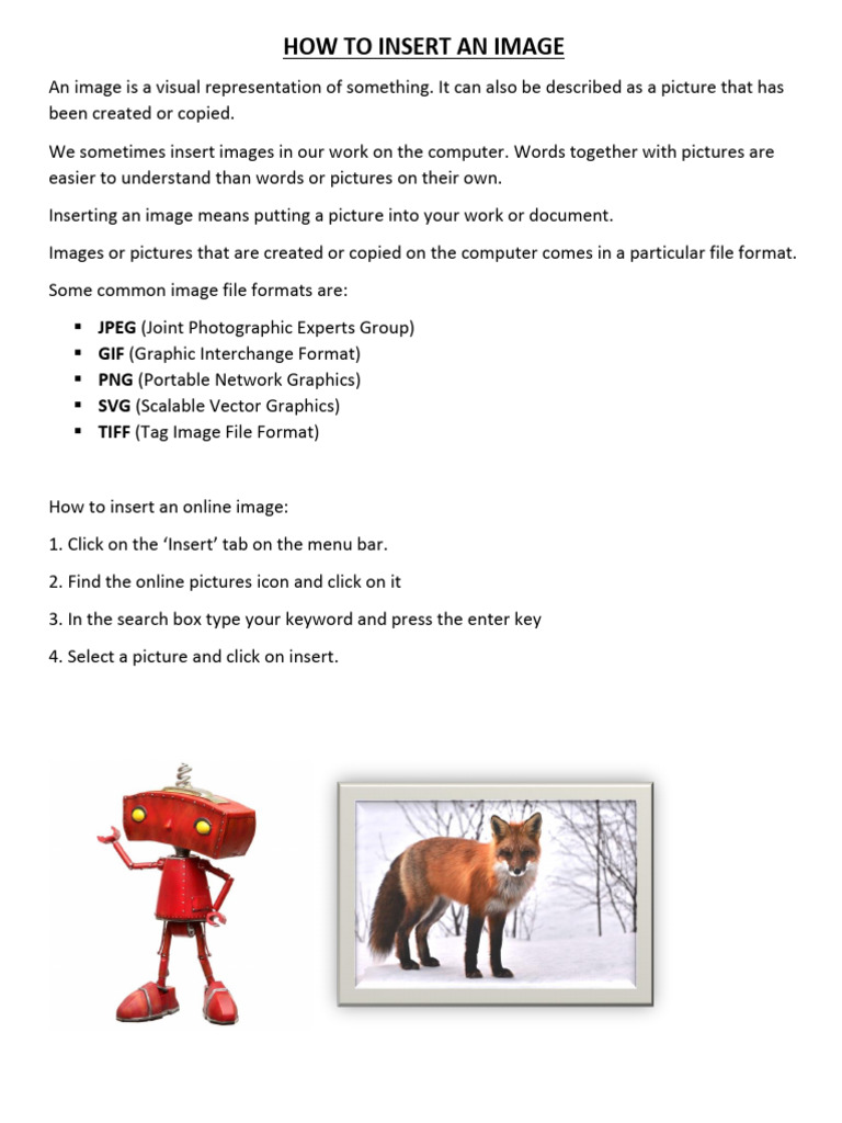 How To Insert An Image | PDF
