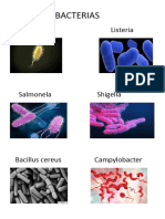 BACTERIAS