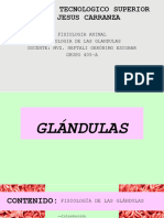 Gland Ulas