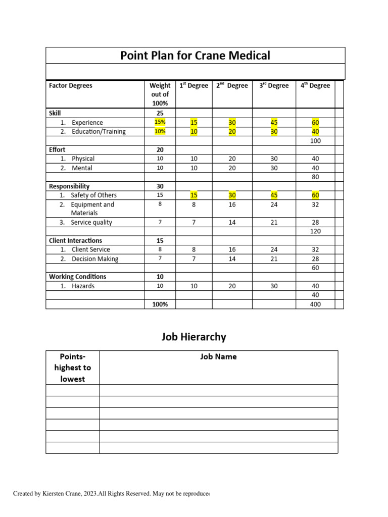 Point Plan For Crane Medical | PDF | Occupational Safety And Health ...