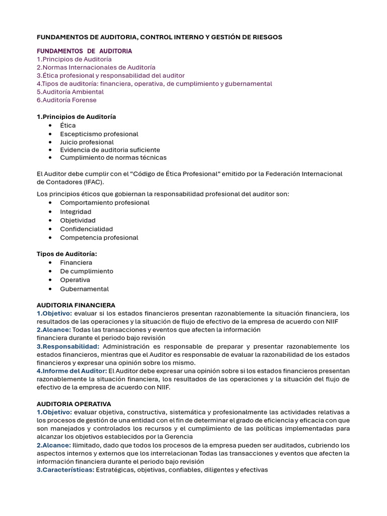 Fundamentos de Auditoría y Control Interno | PDF | Auditoría | Business