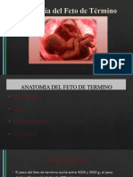 Anatomía Del Feto de Término