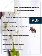 Informe de Proyecto Cientifico