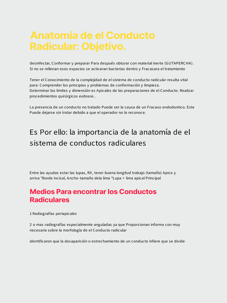 Anatomía de El Conductos Repaso PDF