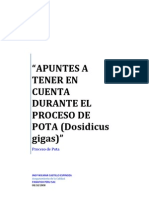 pota_proceso