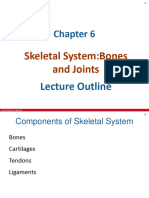 Skeletal System