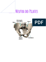A Pelve Neutra Do Pilates