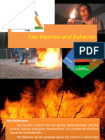 Fire Theories and Behavior